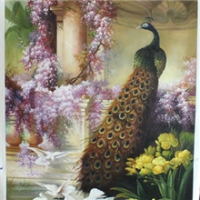 油画TH06090X120孔雀现货批发可定做高.中.低挡和各式尺寸