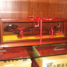 紫檀木【九龙如意】