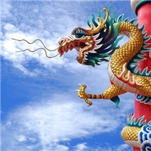 花鸟画龙国画丝绸礼品卷轴挂画家居装饰画字画定制厂家直销