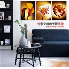 翔风雅框现代装饰画简约家居卧室客厅办公室壁画三联画花卉