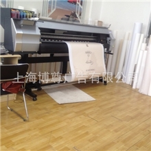 专业提供高级墙纸写真墙纸喷绘墙纸喷画墙纸定制