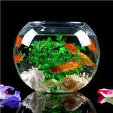 支持小额批发：透明大号玻璃鱼缸玻璃圆球玻璃水培花瓶
