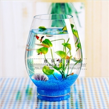 现货供应批发透明大号玻璃花瓶水培富贵竹家中装饰玻璃花瓶