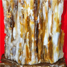 璀璨冰底树化玉木化石硅化木华泰珠宝