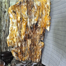 金碧辉煌华泰精彩木化石收藏摆设送礼展览之佳品