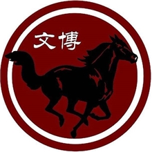 浙江文博提供古玩古董的鉴定及检测服务