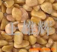 厂家供应；优质机制黄金石(图)上海黄金石环养