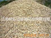 园林石铺路用扁平鹅卵石外观细腻按摩效果好