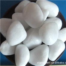 厦门白石子、白色机制玉砂利