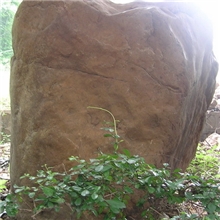 黄腊石/黄蜡石/园林石/奇石/太湖石/灵壁石/英石1557重3吨