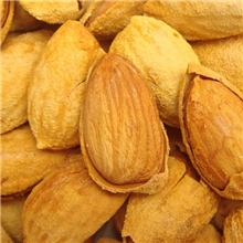 批发美国大杏仁500克巴旦木休闲食品坚果干果小珍珠