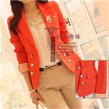 新款修身小西服长袖小外套2013春秋装新款小西装女士外套