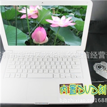 厂家直销13/14寸苹果风格双核上网本笔记本电脑超薄带光驱