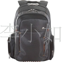 供应电脑背包外贸原单男士商务泰格斯TSB013A笔记本双肩电脑背包