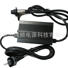 厂家批发深圳各种电动车充电器12V电瓶车充电器