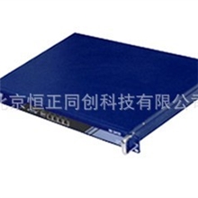 NI3310网康上网行为管理