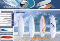 供应网页制作、产品画册、彩盒设计