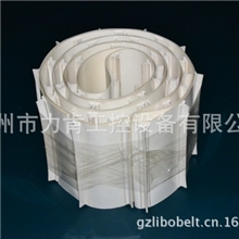 厂家直销食品级输送带挡板带批发