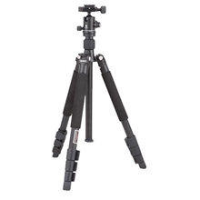 百诺(Benro)A1685FB0旅游天使系列三脚架套装（不可转独脚架）