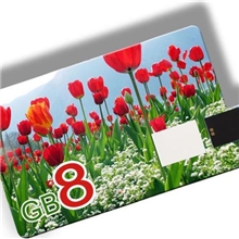 【质量100%保证】推荐生产多种高质量的卡片U盘4G8G16礼品U盘批发