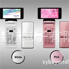 Mobilephone,netbooksetc.fingerprintsecuritysolution