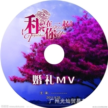 12CMDVD-R光盘刻录，精彩记录每一个瞬间