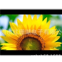 8寸液晶广告机8寸高清高亮楼宇广告机网络版