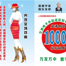 质保二年精品版10000多首TF卡数字点歌创业新产品内存卡