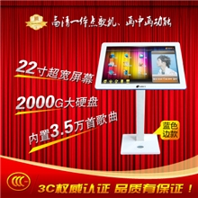 灵思斑马家庭KTV点歌机斑马点歌机一体机