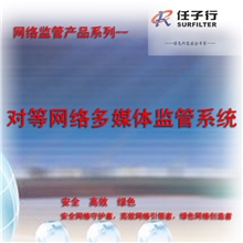 对等网络多媒体监管系统