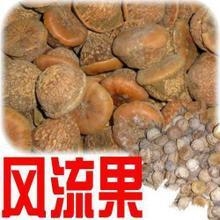 【野生风流果】补肾果/龟头子中药温肾壮阳滋阴补肾