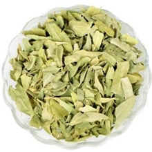 供应罗布麻/保健茶/加工各种规格/中药材花草茶