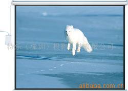 供应电动投影幕/电动幕/遥控幕/白塑幕布/波珠