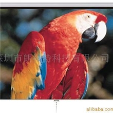 供应投影机屏幕，投影灯，三洋投影机，投影吊架