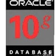 ORACLE企业
