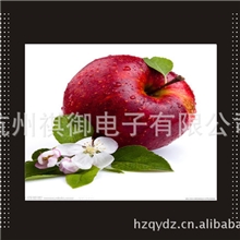 国内品牌厂家供应高清楼宇广告机液晶广告机