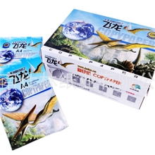 厂家直销飞龙复印纸70g,80G