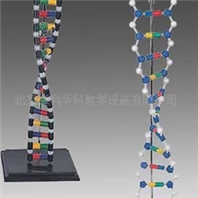 【教学仪器批发】生物教学仪器教学实验仪器