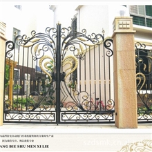 提供优质美观的豪华别墅大门铁艺别墅大门制作与加工