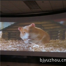 供应全系列投影屏幕金属幕银幕