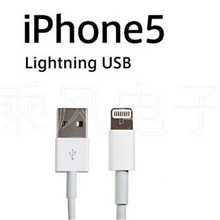 特价促销苹果手机iPhone5/迷你IPAD充电器数据线正品原装两件套