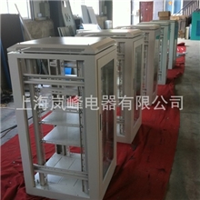 LFY2013922-19#网络标准柜