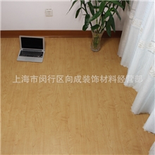 丽家PVC地板塑胶地板革耐磨PVC地板家用木纹地板上海厂家直销