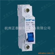 供应正泰品牌小型家用断路器DZ47-60（促销|）