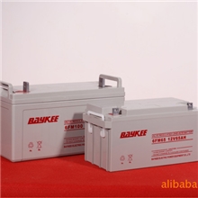 供应AGM蓄电池BK12V24AH