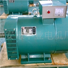 福建厂家供应ST-5KW同单相步交流发电机发电机组【图】