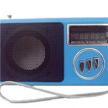 物美价廉，功能齐全，精致美丽的WS-258迷你小音响