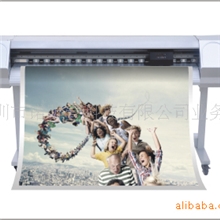 天彩欣彩双导轨写真机(图)