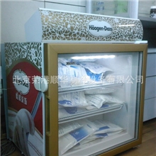 批发供应冰淇淋冷冻展示柜制冷设备茶餐厅厨房冷冻设备