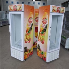绿缔LG-260饮品店设备制冷展示柜直冷